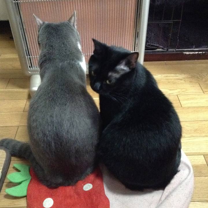 0489e778 7121 47c3 b520 c106428b7009