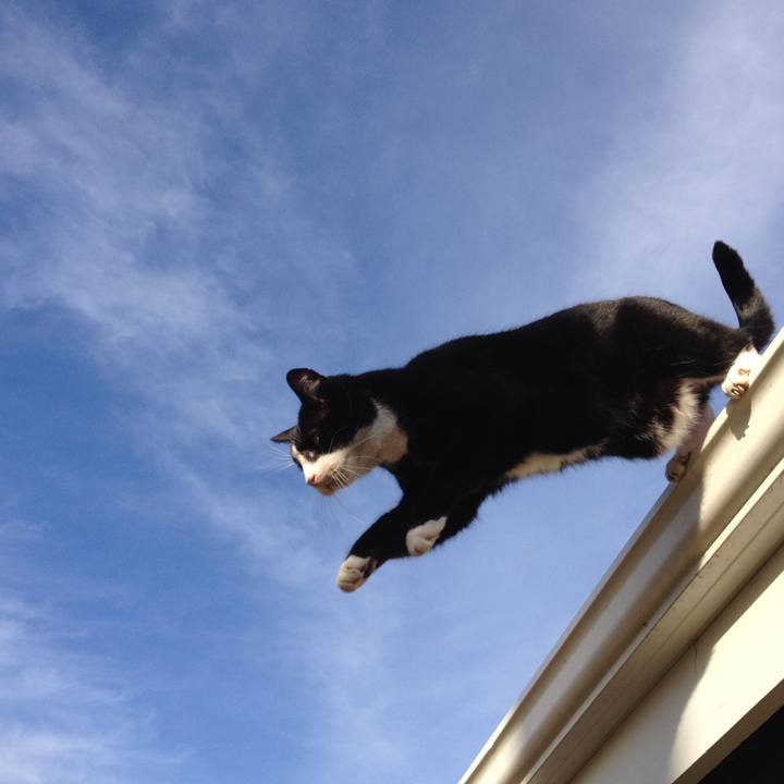 048a59dd 5ff8 4460 ba29 be223fb79fe8