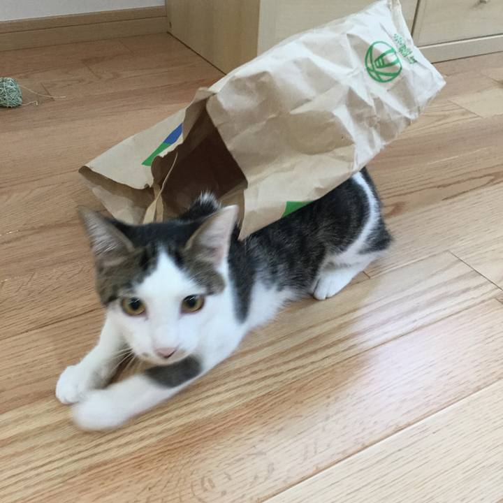 048bbec0 4054 4130 8e19 b989785c7c6a