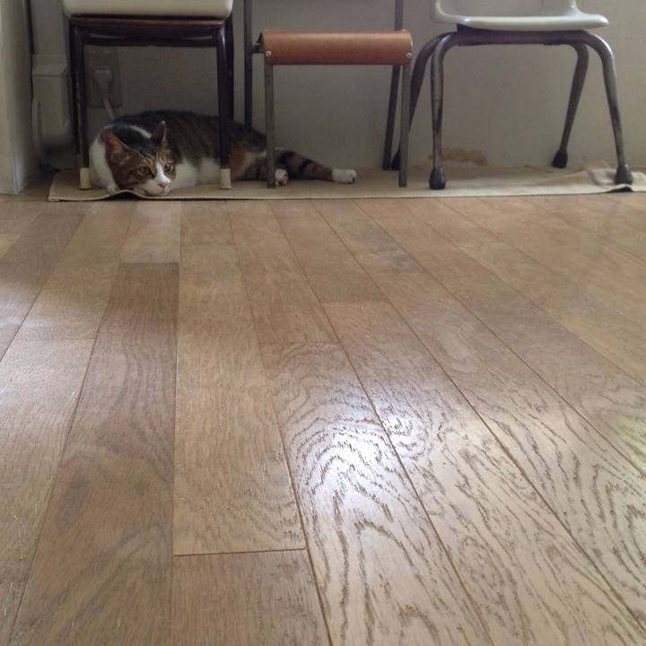 048bff7e be15 4236 af53 d0bb6e5fbb2e