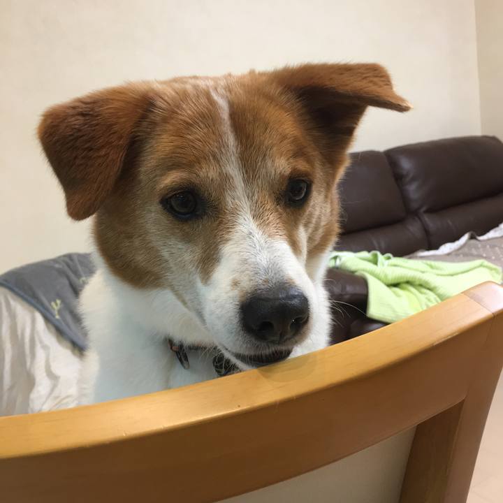 048c29f1 4b56 4c17 80af 32235b45afec