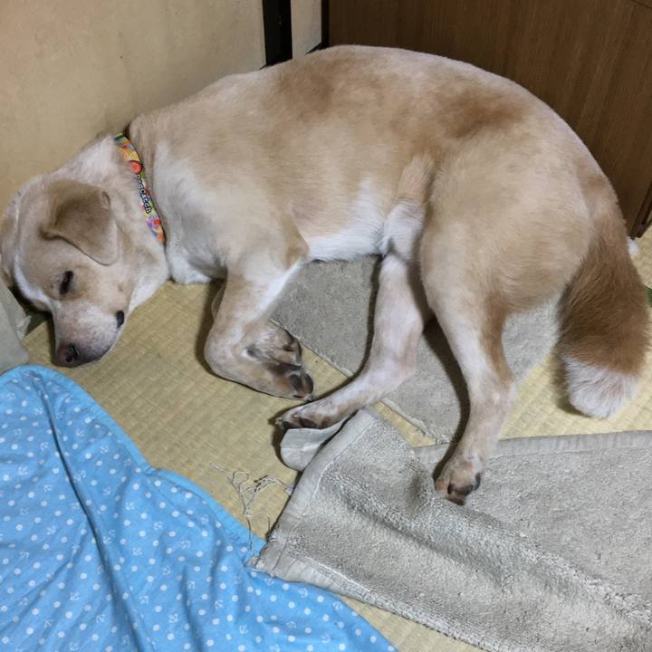 048c9cce 688b 4961 8565 0610bf8bbf53