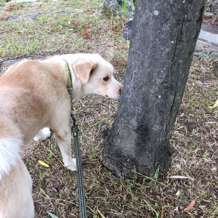 048ca6cb a06b 4ffb b191 8e32a98085cc