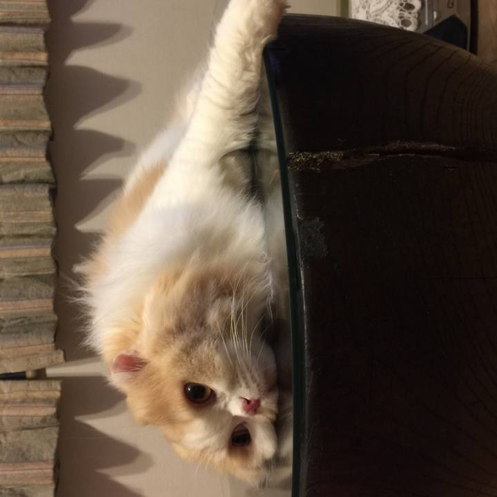 048cc8b2 4bdc 48ba a3c9 da05665aec04