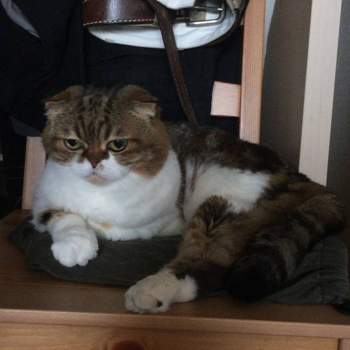 048d04fb 574c 4c88 a51b 2e7e584cbf20