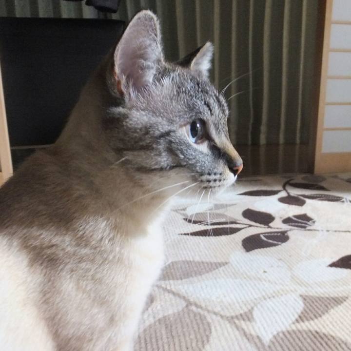 048d58c2 a406 4818 84a0 9023a5b9a123