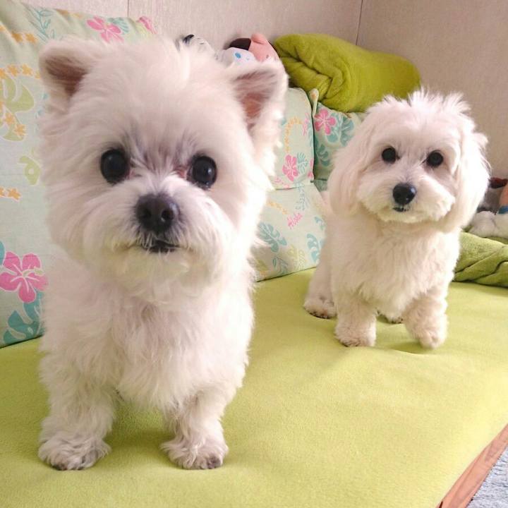 048e07a3 ded4 45ba 8545 4a6e365ff746