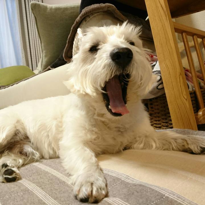 048e2077 53f6 426d a74e face2233b7f0