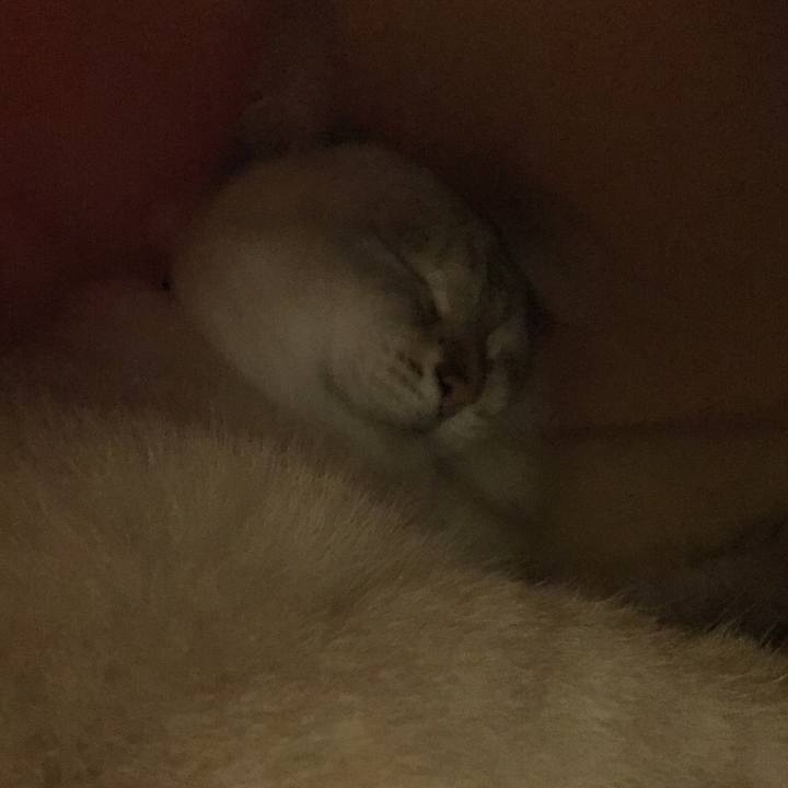 048e27bf 680d 43a0 9234 ca580f3560c7