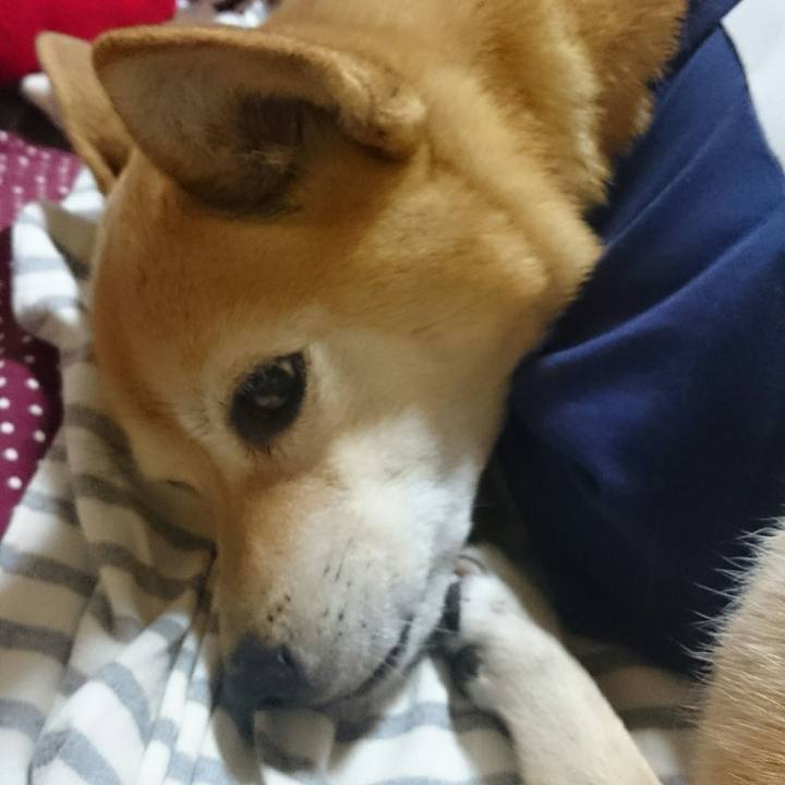 048e48ce 4c23 4b53 b48b f93bd3075f81