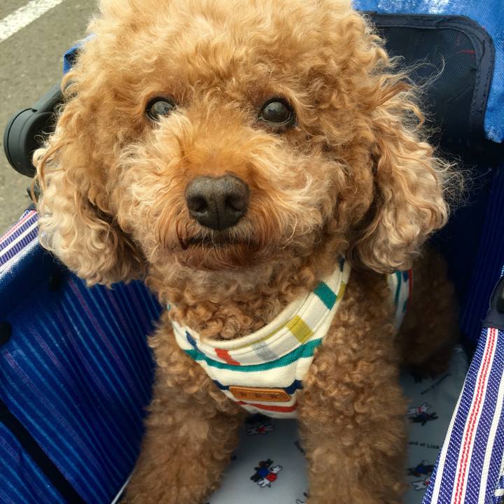 048e9691 4cab 4037 a37a e82bea536b93