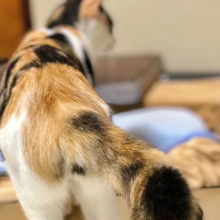 048f222f 680d 4ff8 9aa2 54636483a71f