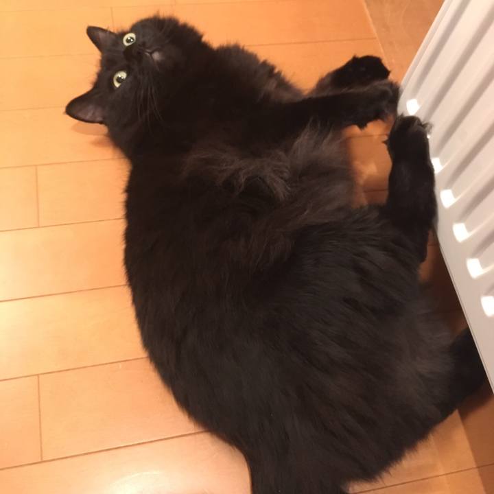 048f3dcb e3de 473d 8dd7 71fbb3b1a983