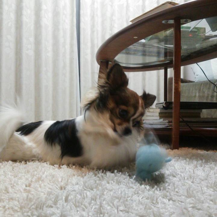 04900a27 63de 489b a968 bbfae6c53d19