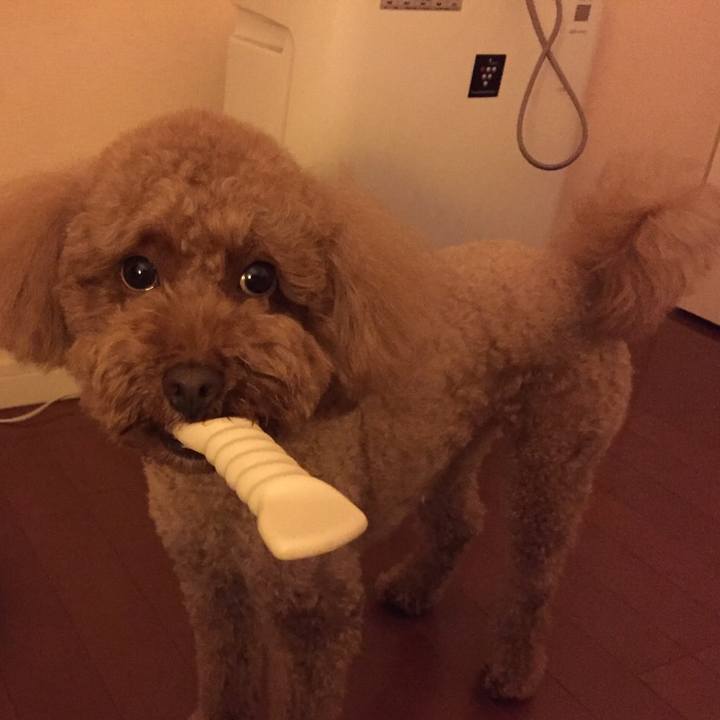 04908baf 9dff 4bdb 88e9 f1bfa96cfe58