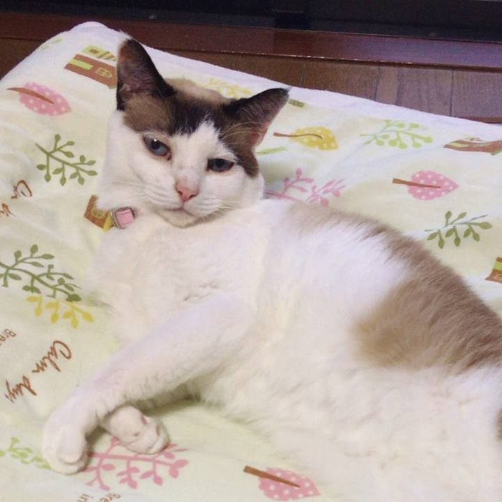 04909492 9d3d 47dd 8eb4 f85d337bd44e