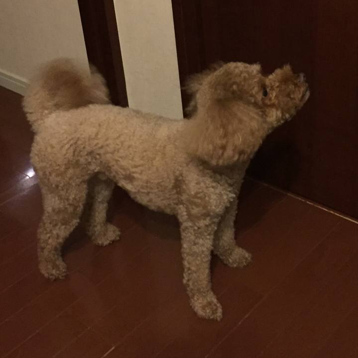 0490c7e1 fabe 4f4e ae41 a57024748405