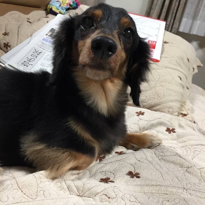 0491ab9e d89e 4cc6 b303 7685245a1084