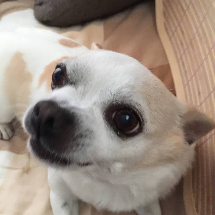 0491b864 d161 4e38 8e51 c316028e585d