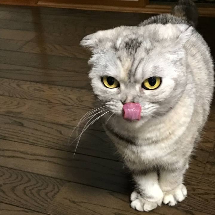 0491ccc6 e4d9 49f5 a695 47047ae7c6be