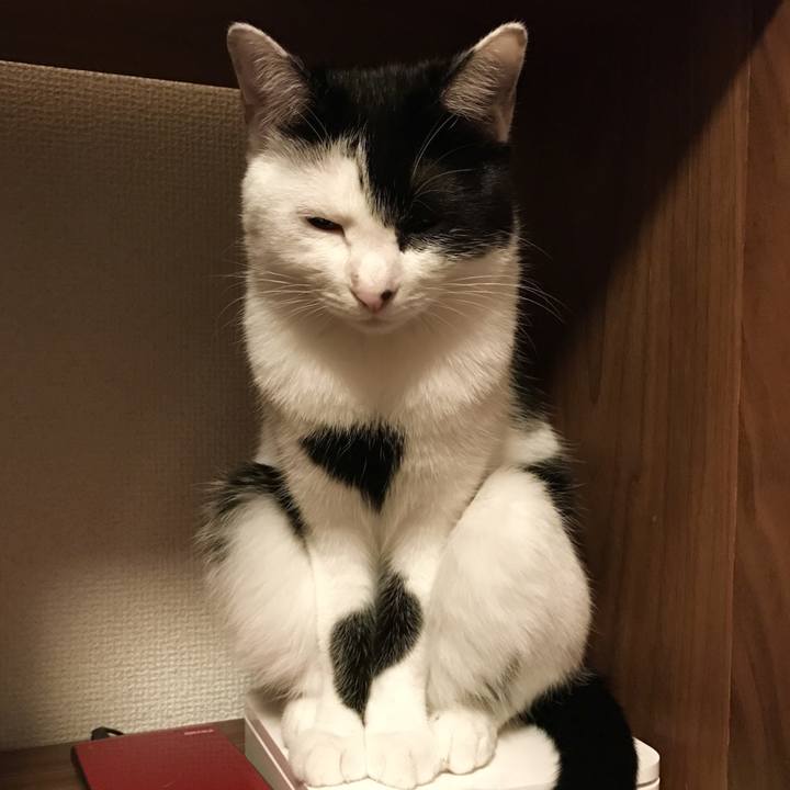 04920e61 da77 4157 894c f62ed6955983