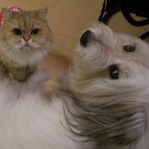 0492369f 07bb 4781 8fd2 7f8b1561014f