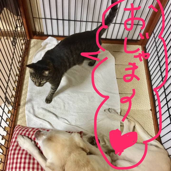 049245e6 a155 4e41 9ae5 0838257fad5a