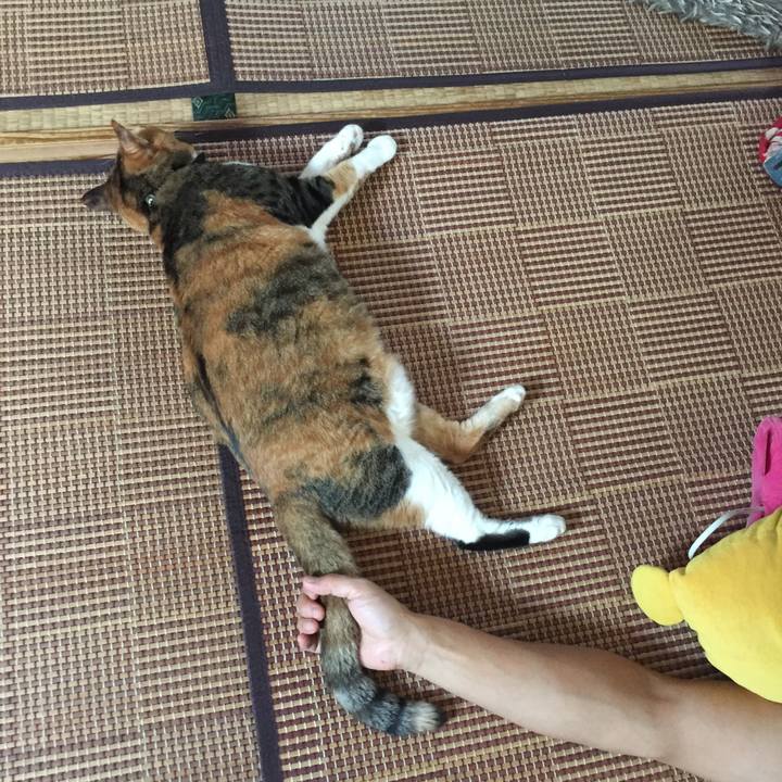 0493c596 4c2c 461f a073 8613a9f117fc