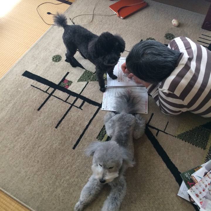 0494a288 f9f1 4fd7 92f0 0a544dacb0aa