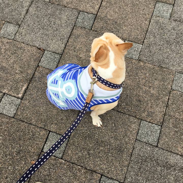 0494bf62 d604 42ba bb86 2b569dfeb647