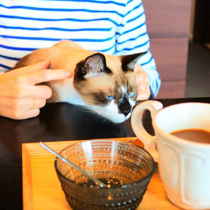 0494d003 d393 4be4 b0fe c12e9a92c7dc