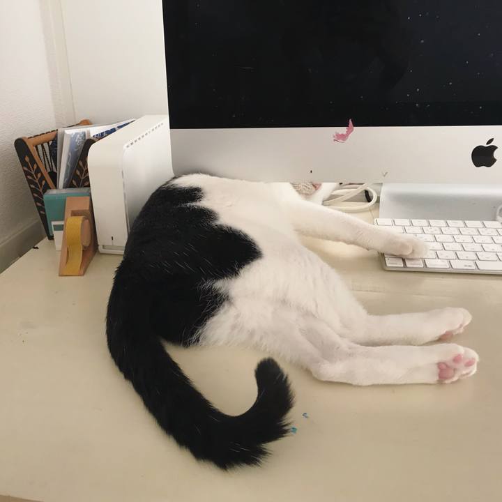 049515f4 8990 4cc5 bd73 3cf7a3412b82