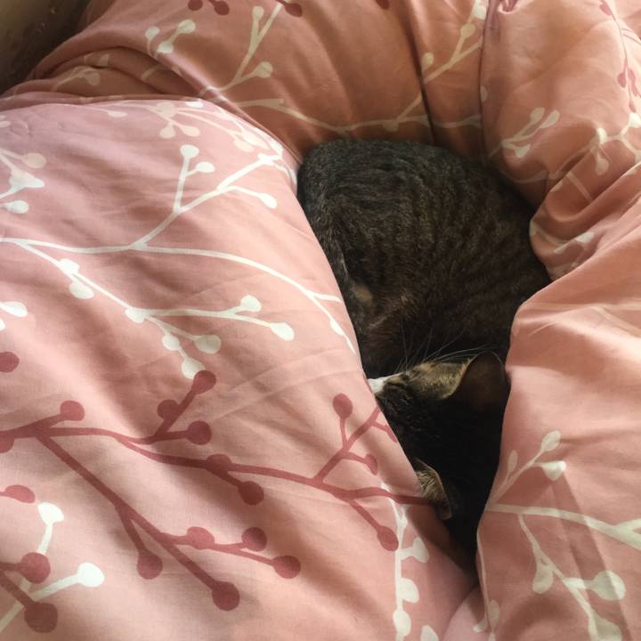 04956841 f9ba 4726 8fc1 74e029cfb4c1