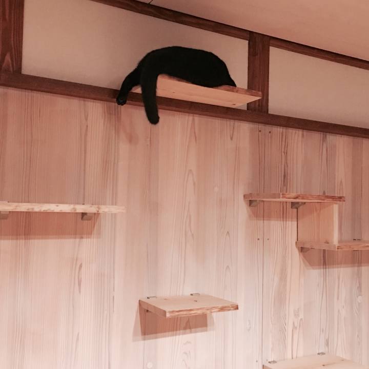 04959e8d 493f 4ed4 a93c 2a5e66197ff2