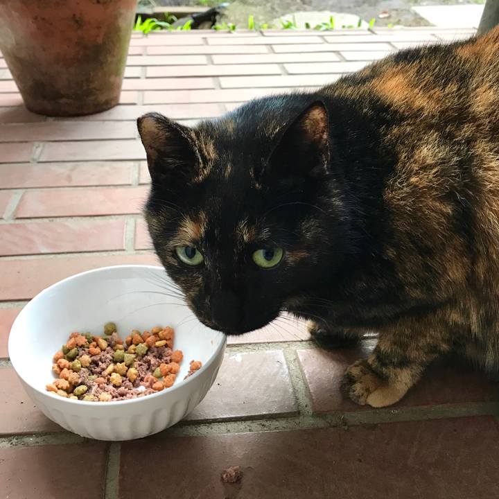 0495ffe9 f298 4629 8e09 554c719c7a80