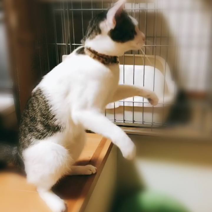 04962a99 9863 4dd5 8e54 026777b50666