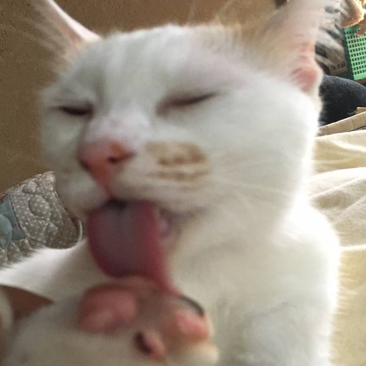 0496eb43 00cc 42fa 93c7 be6de72552f9