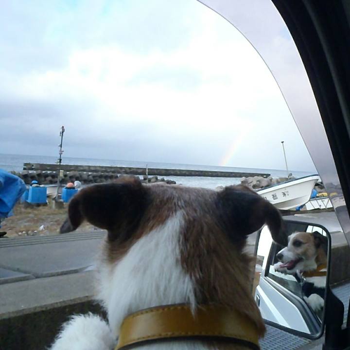 04970cee 8b77 49a8 ada5 e0cb95ffa1ea