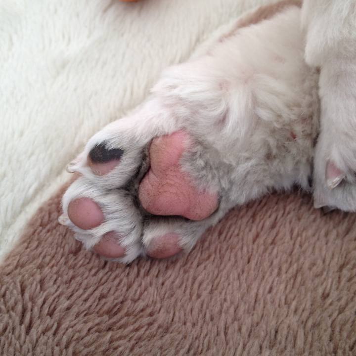 0498936f 301f 43c1 8ef3 a6e5549a3a57