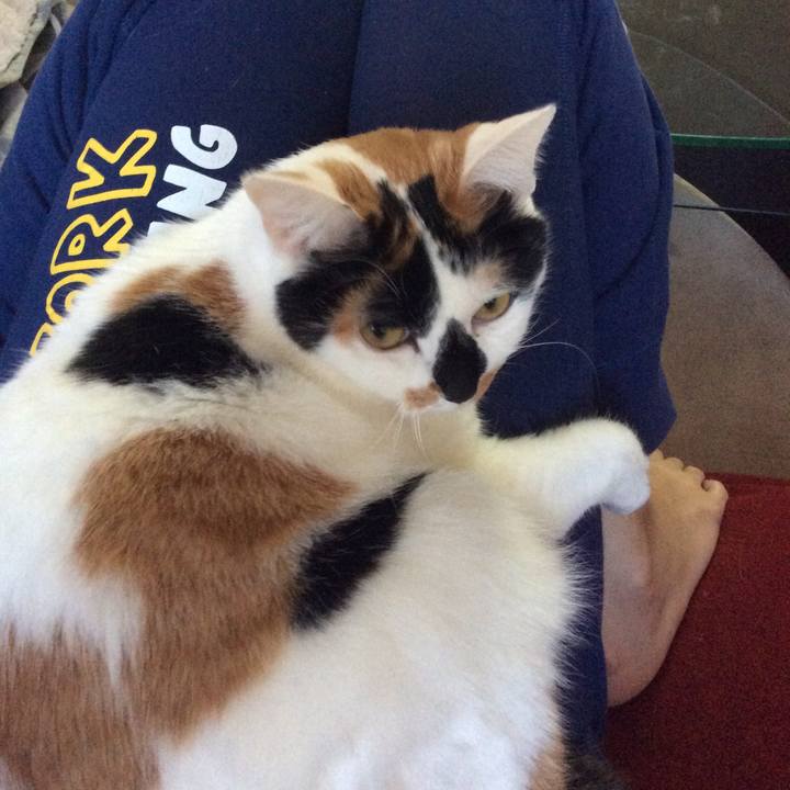 04993cd5 6b28 46c6 8ca8 dfdbd47accae