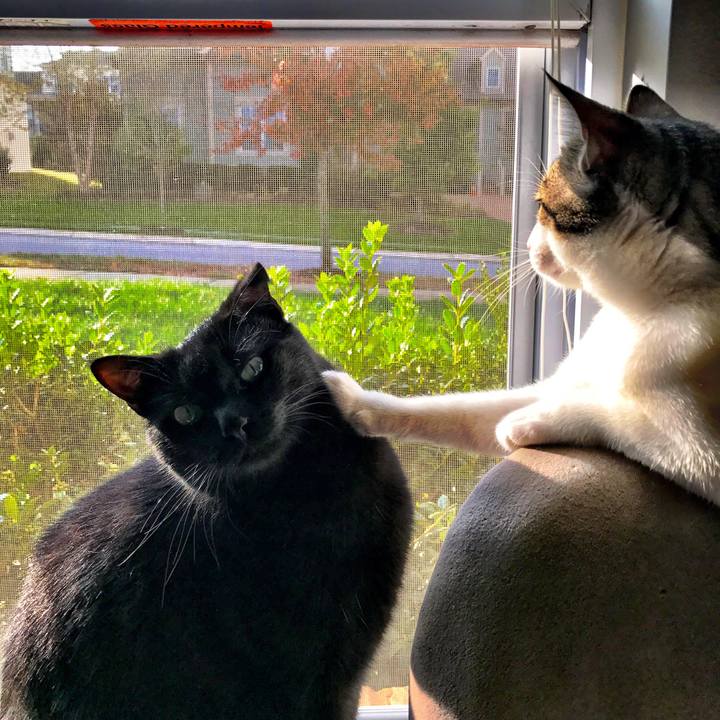 04995170 e2d0 4e84 844c 558a53d85d04