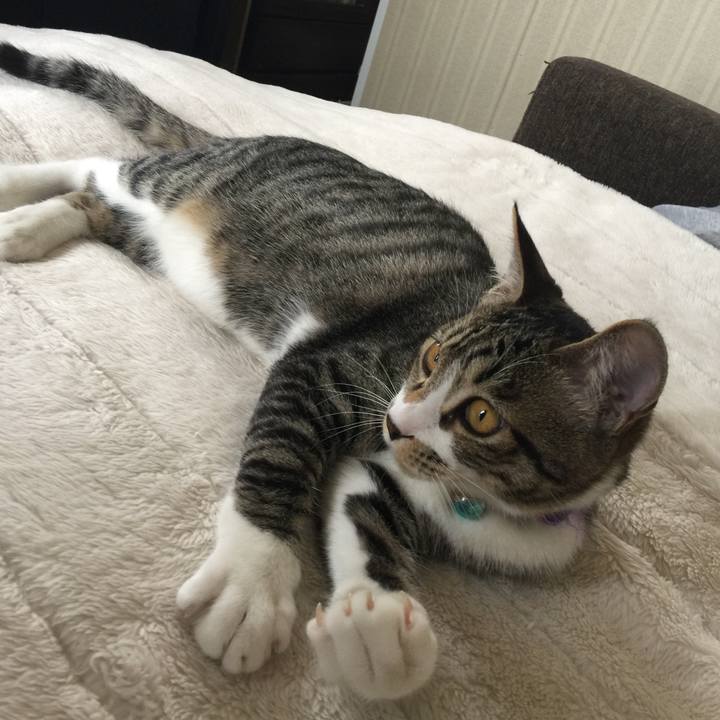 04999762 e3ef 4980 ad1d 9f648dcbb82a