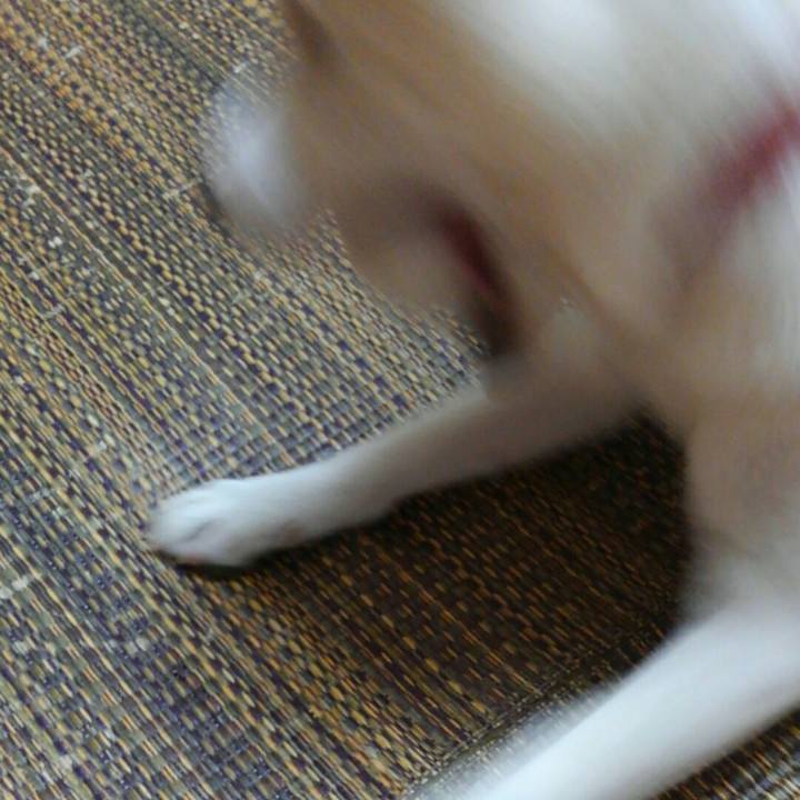 049a39d0 9f7a 4e0a b70b aebaf0d10a1b