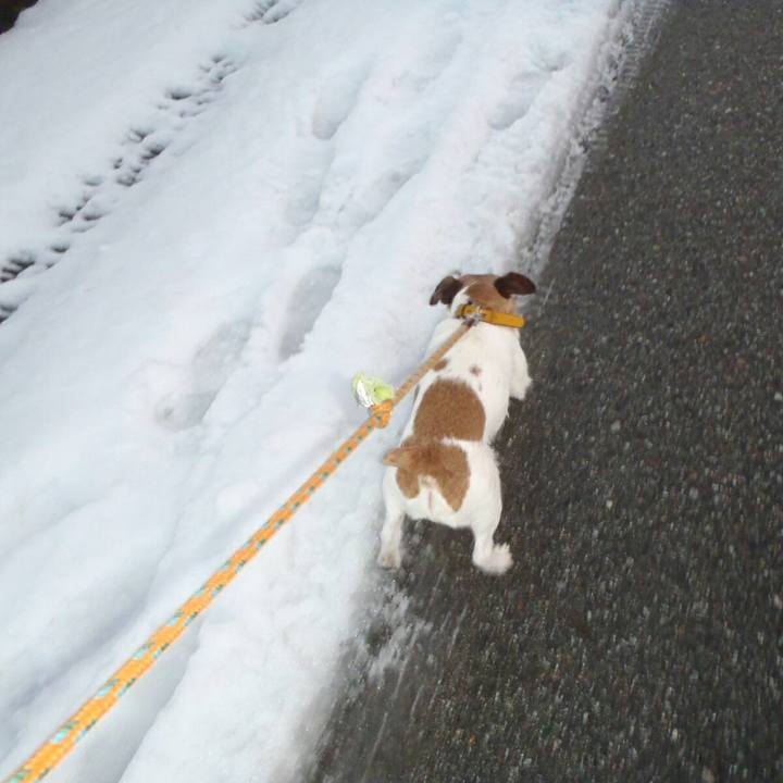 049a6fe7 32dd 422d a5c4 667b58782812