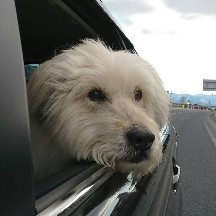 049acdf7 ae9a 4ba5 ad24 ffc1314439c0