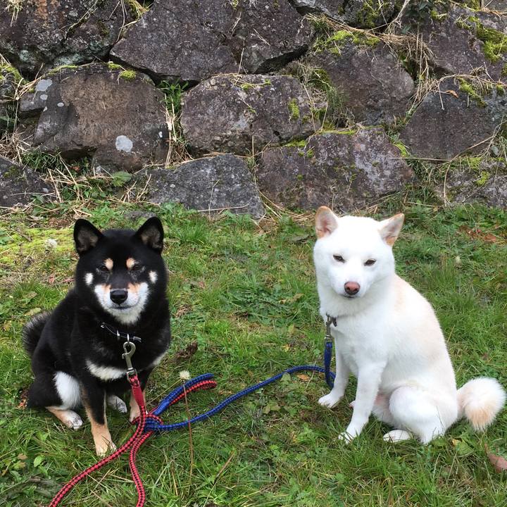 049ae667 6856 4abe 918f b287c0ec40de