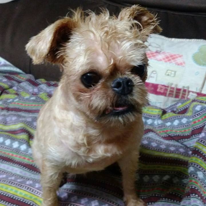 049b76c3 42a8 4bbf 8bf9 6f8c1e14d392