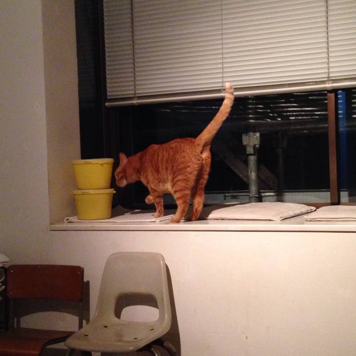 049bb34a 9cf4 4495 b722 a02d812fadd1