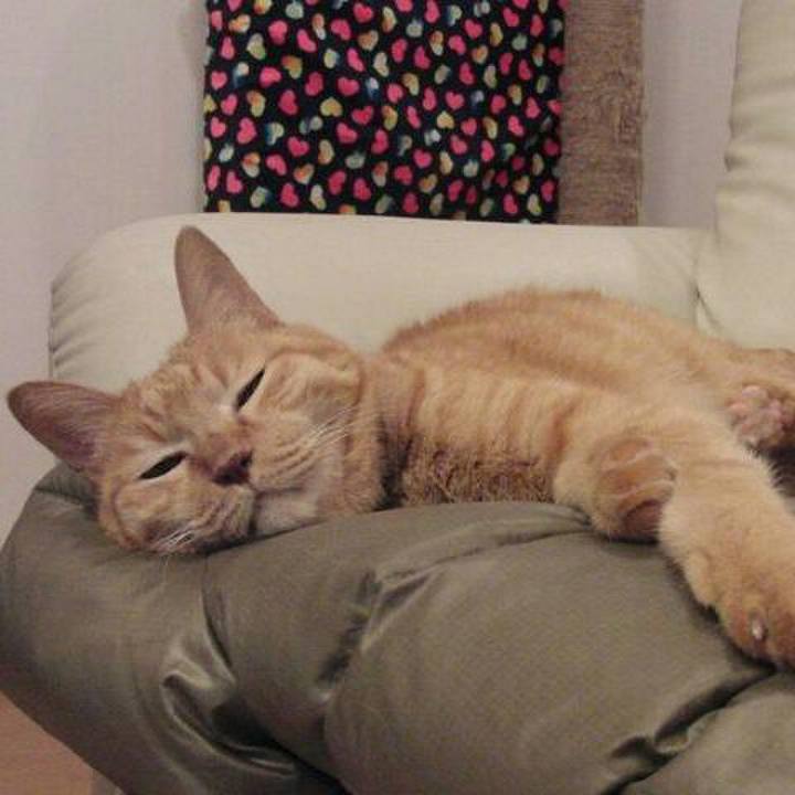 049c803d 694d 45fb 996f ec3850ec876b