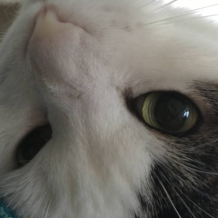 049e832c 0e05 4755 b9f8 cfae5b7fc5e1